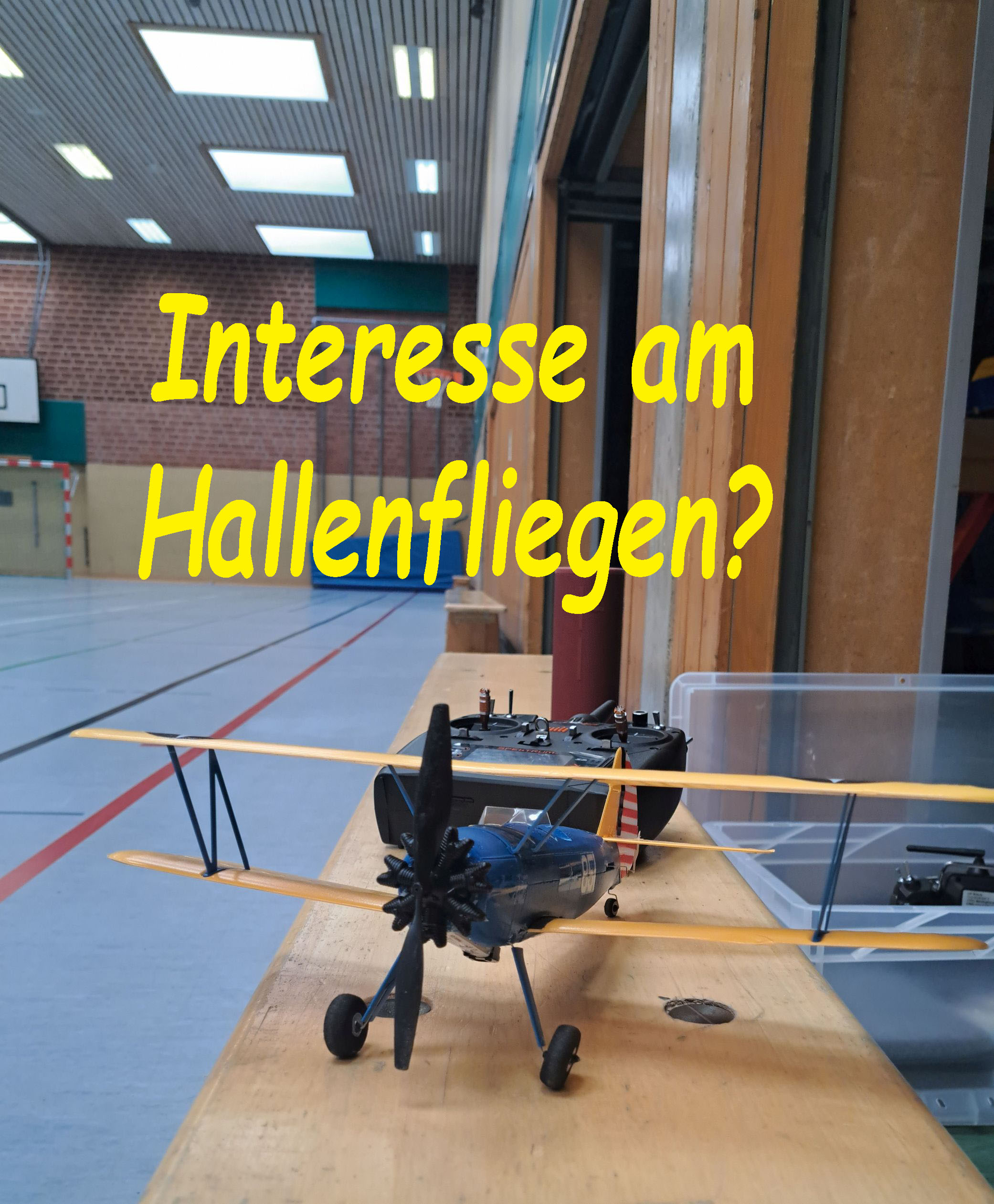 halleinteresse